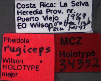 Media type: image;   Entomology 34352 Aspect: labels